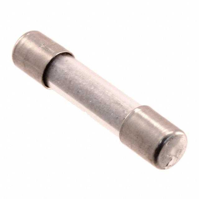 SCHURTER 熔断保险丝 0001.2527