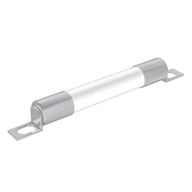 EATON 熔断保险丝 10CT