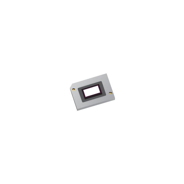 TEXAS INSTRUMENTS 放大镜/显微镜 DLP5531AAFYSQ1