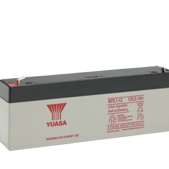 NP2.1-12--云汉芯城ICKey.cn