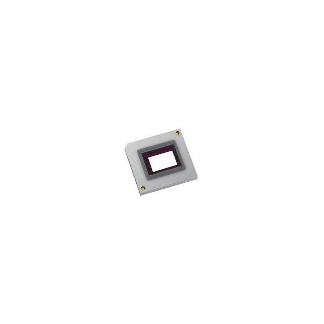 TEXAS INSTRUMENTS  DLP800REA0FYV